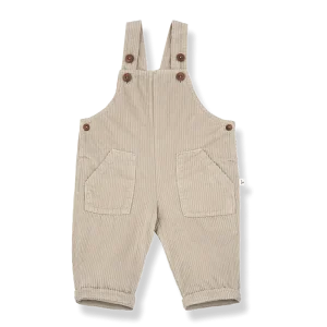 1+ in the family Peto Benoit