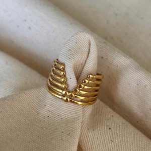 Anillo v