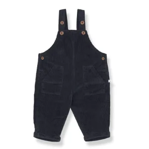 1+ in the family Peto Benoit Dark Blue